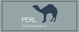 perl-programing-computer-training-institute-ahmedabad